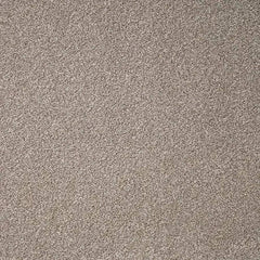 Flooring Wholesale Twist Xtra Mink Carpet Swatch