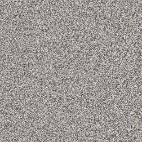 Flooring Wholesale Twist Xtra Storm Carpet Swatch