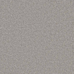 Flooring Wholesale Twist Xtra Storm Carpet Swatch
