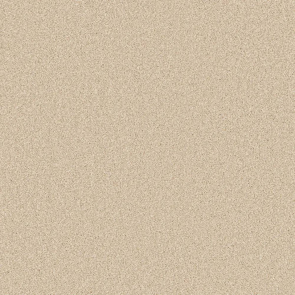 Flooring Wholesale Twist Xtra Barley Carpet Swatch