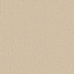 Flooring Wholesale Twist Xtra Barley Carpet Swatch