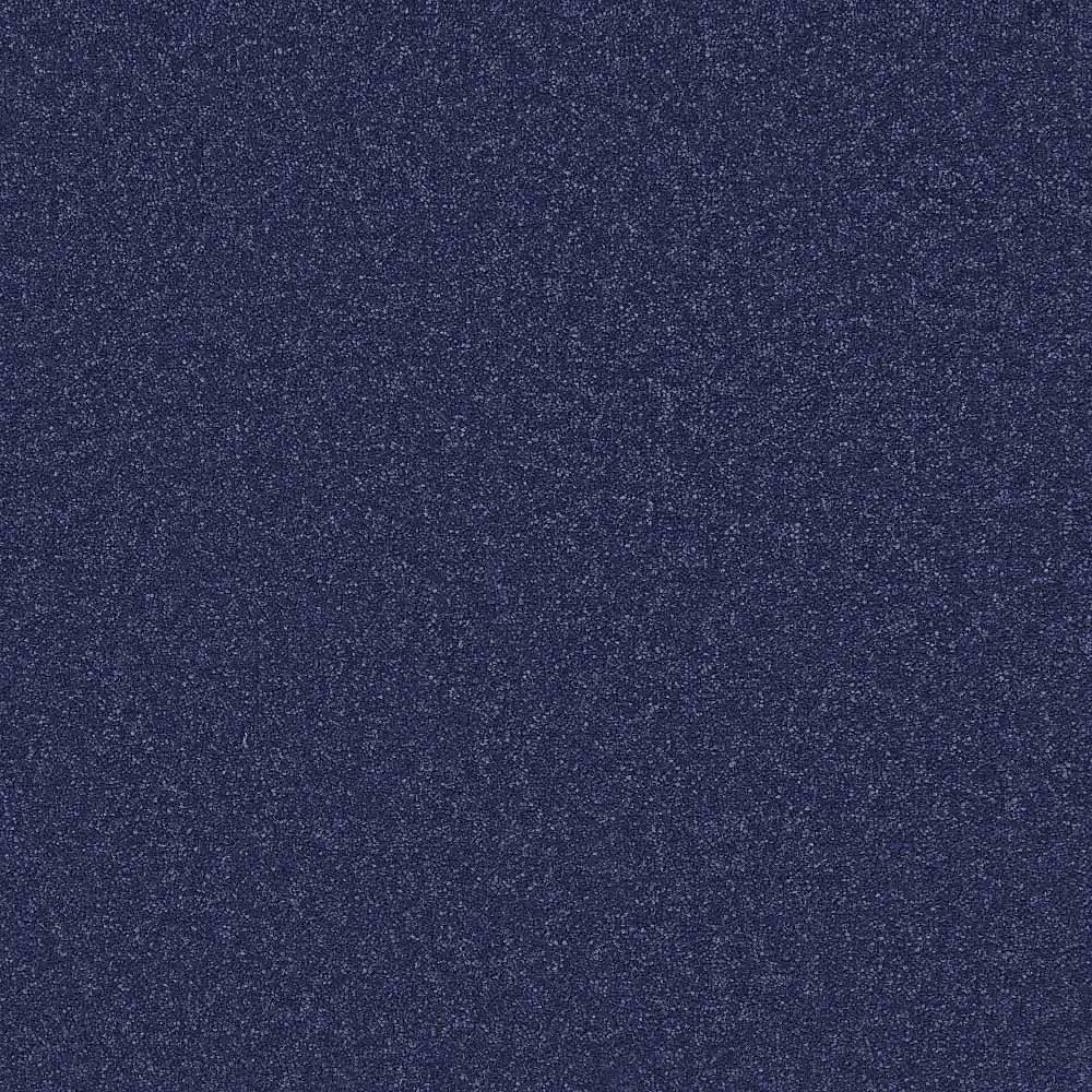 Flooring Wholesale Twist Xtra Atlantic Carpet Swatch