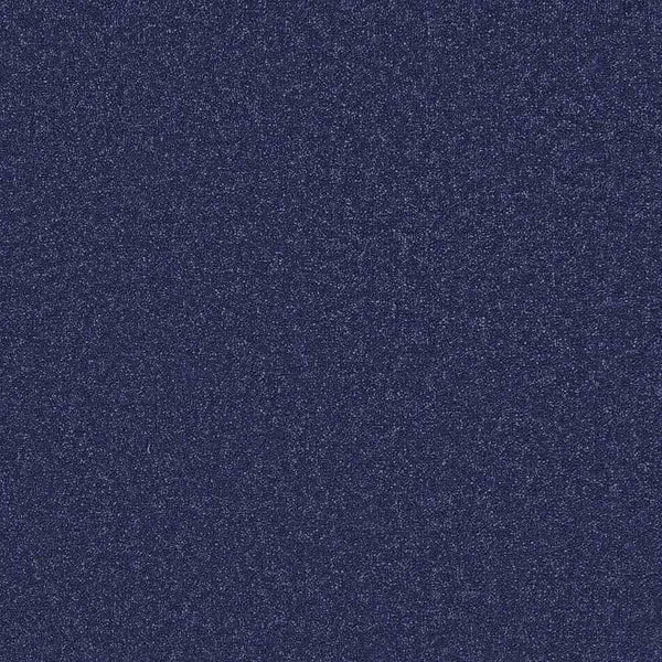 Flooring Wholesale Twist Xtra Atlantic Carpet Swatch