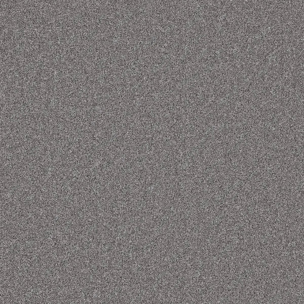 Flooring Wholesale Twist Xtra Galaxy Carpet Swatch