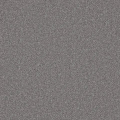 Flooring Wholesale Twist Xtra Galaxy Carpet Swatch