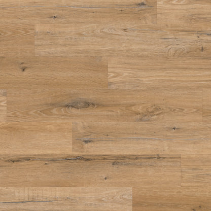 Karndean Knight Tile Natural Character Oak plank showing knots and oak grain