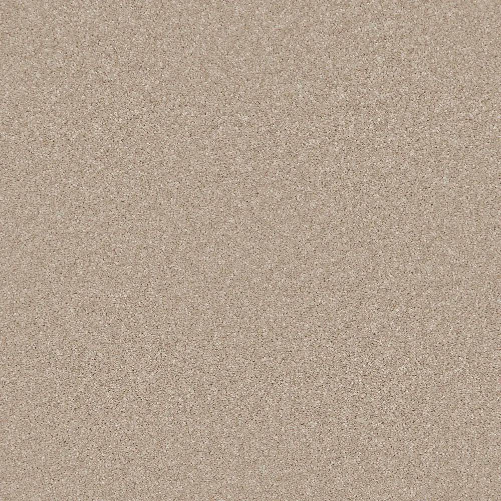 Flooring Wholesale Saxony Plus Sepia Carpet Swatch