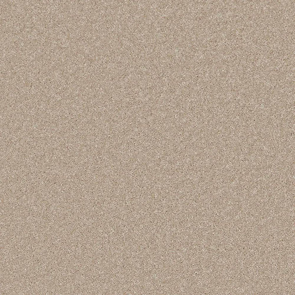 Flooring Wholesale Saxony Plus Sepia Carpet Swatch