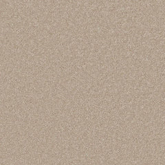 Flooring Wholesale Saxony Plus Sepia Carpet Swatch