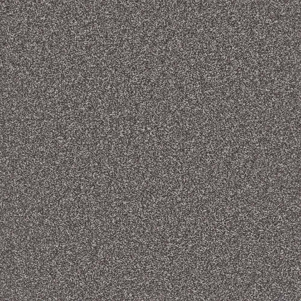 Flooring Wholesale Saxony Plus Xtra Rockface Carpet Swatch