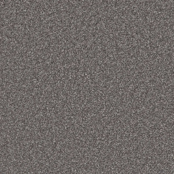 Flooring Wholesale Saxony Plus Rockface Carpet Swatch