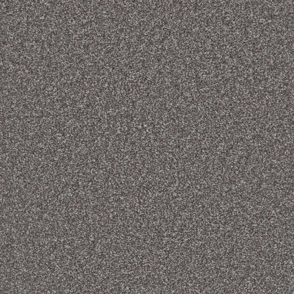 Flooring Wholesale Saxony Plus Rockface Carpet Swatch