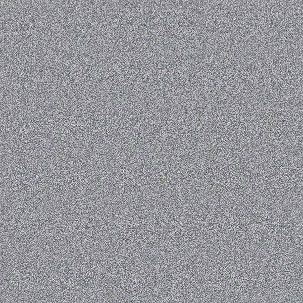 Flooring Wholesale Saxony Plus Xtra Alpine Summer Carpet Swatch