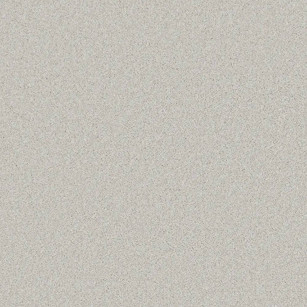 Flooring Wholesale Saxony Plus Xtra Dove Carpet Swatch