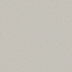 Flooring Wholesale Saxony Plus Xtra Dove Carpet Swatch