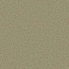 Flooring Wholesale Saxony Plus Xtra Cork Carpet Swatch