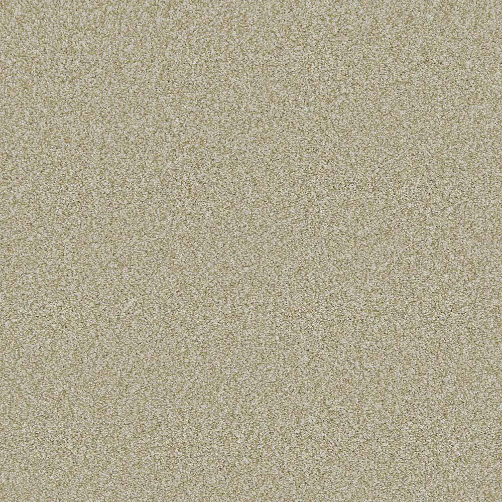 Flooring Wholesale Saxony Plus Xtra Toffee Carpet Swatch