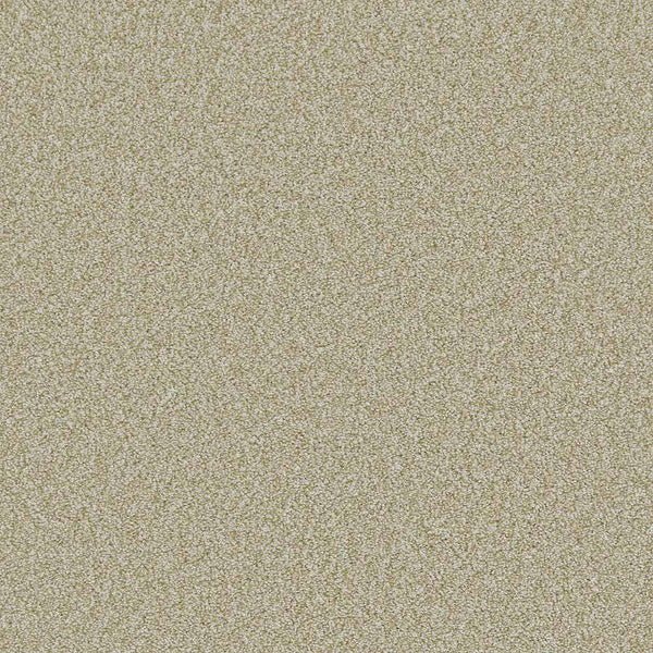 Flooring Wholesale Saxony Plus Xtra Toffee Carpet Swatch