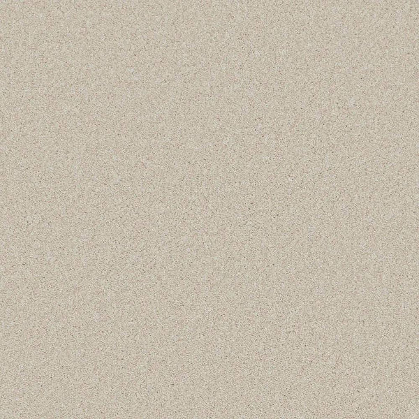 Flooring Wholesale Saxony Plus Xtra Desert Sand Carpet Swatch