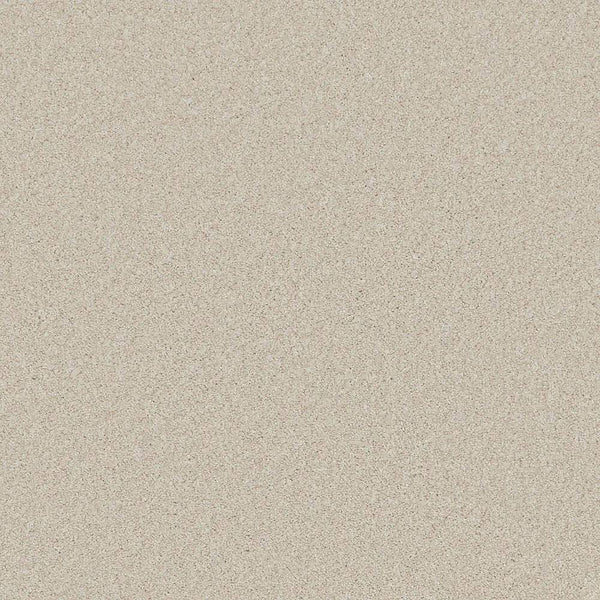 Flooring Wholesale Saxony Plus Desert Sand Carpet Swatch