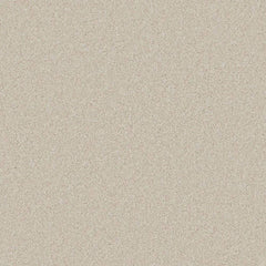 Flooring Wholesale Saxony Plus Desert Sand Carpet Swatch