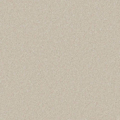 Flooring Wholesale Saxony Plus Xtra Desert Sand Carpet Swatch