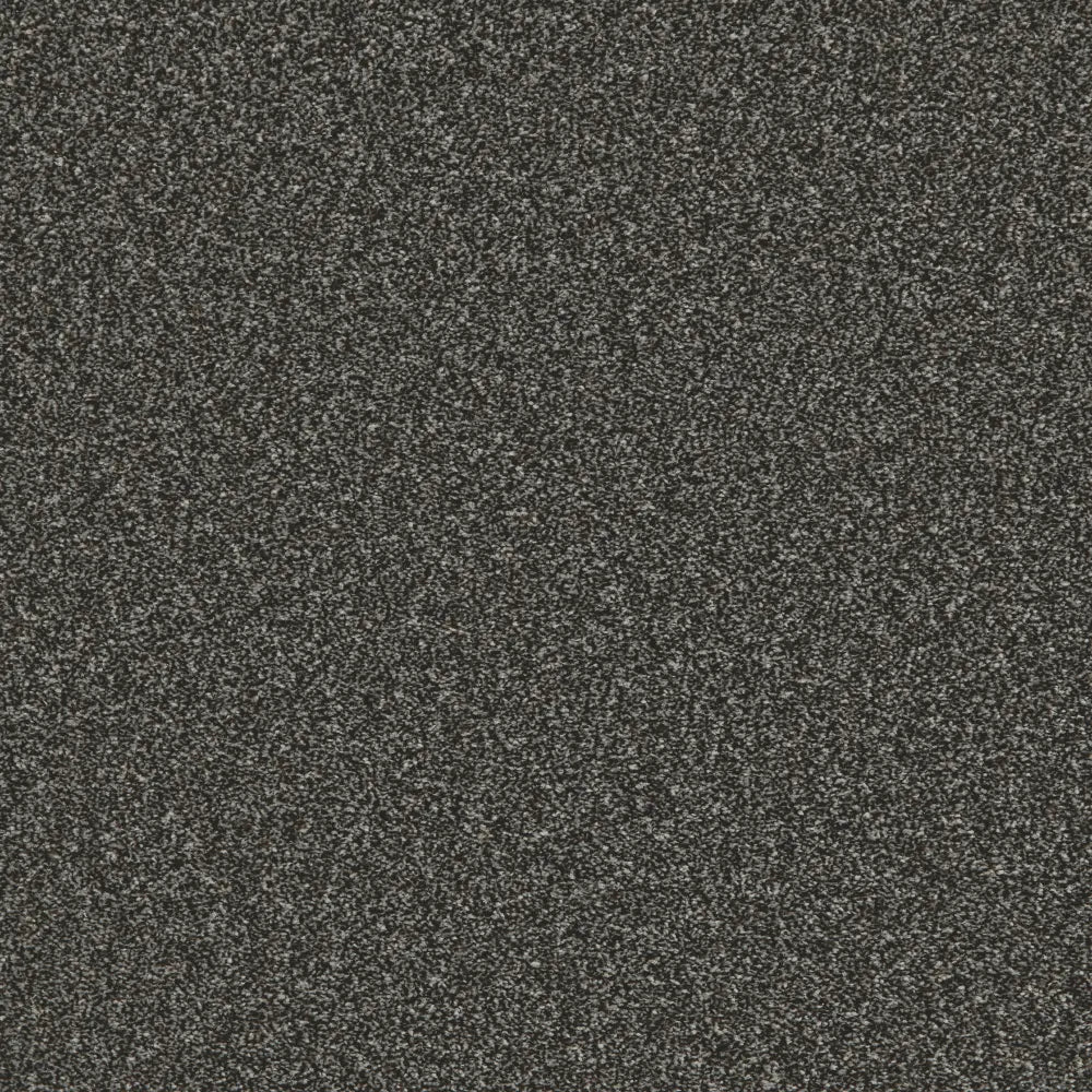 Flooring Wholesale Saxony Plus Xtra Milky Way Carpet Swatch