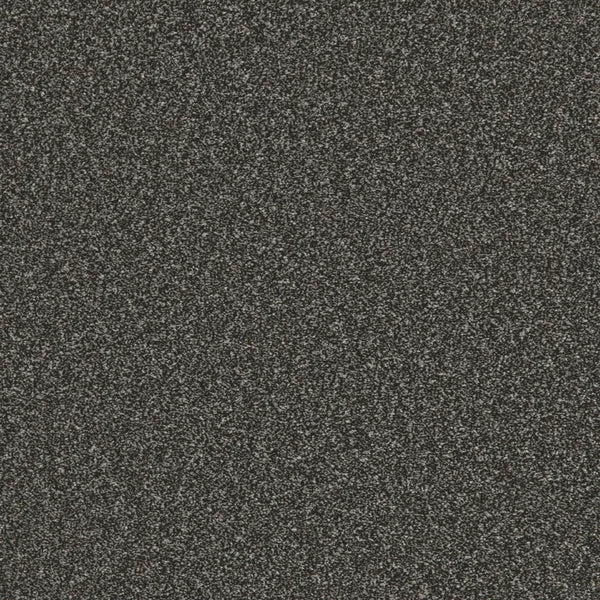 Flooring Wholesale Saxony Plus Xtra Milky Way Carpet Swatch