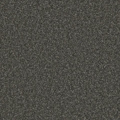 Flooring Wholesale Saxony Plus Xtra Milky Way Carpet Swatch
