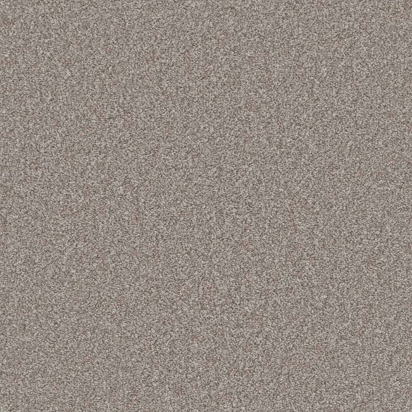 Flooring Wholesale Saxony Plus Xtra Light Ash Carpet Swatch