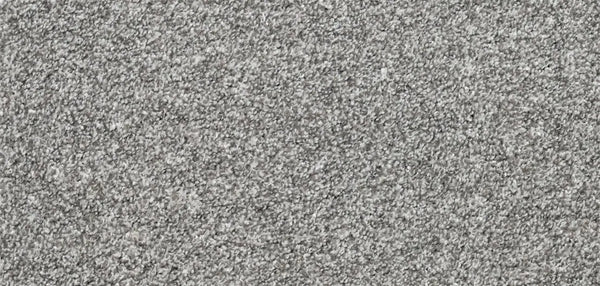 Flooring Wholesale Softness Arctic Fox Carpet wide Swatch