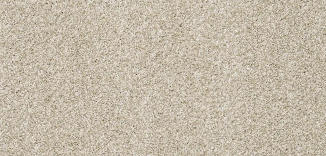 Flooring Wholesale Softness Barley Carpet wide swatch