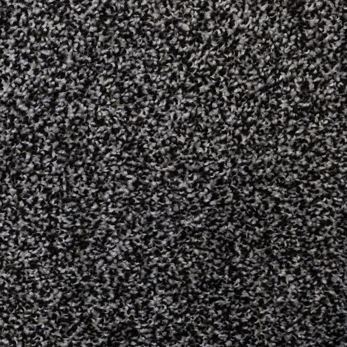 Artisan Anthracite Carpet