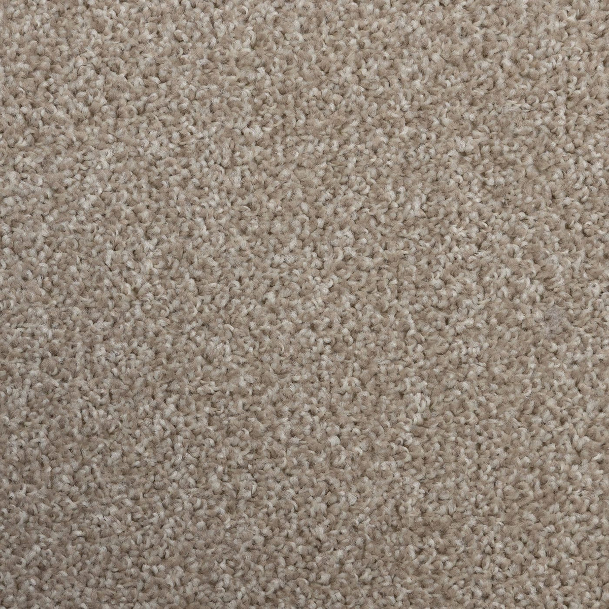 Artisan Biscuit Carpet