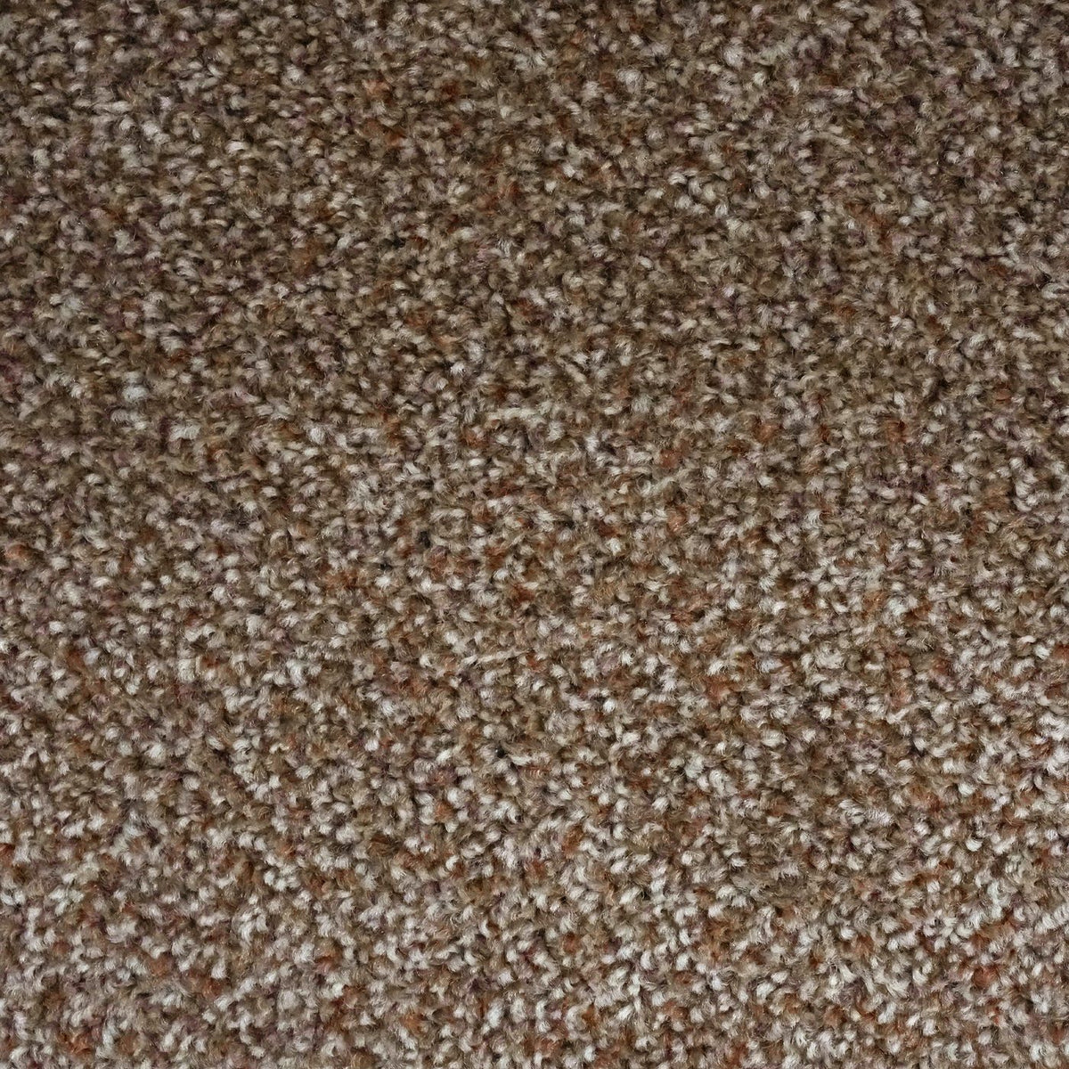 Artisan Cocoa Carpet