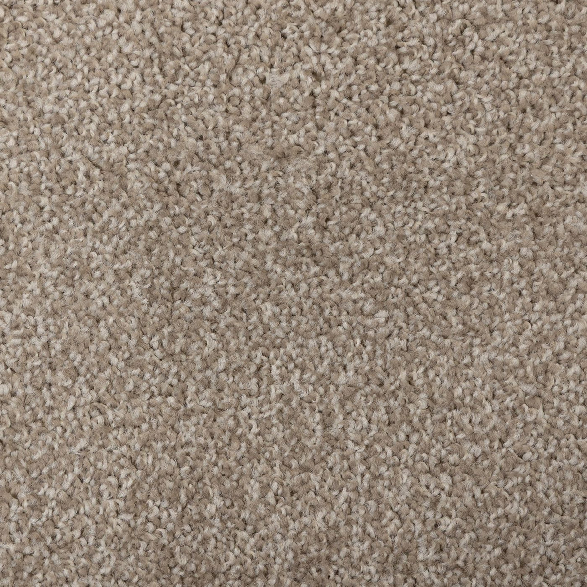 Artisan Ecru Carpet