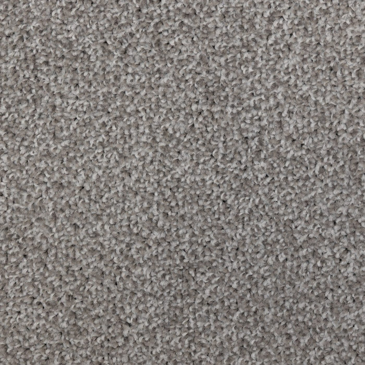 Artisan Fossil Carpet