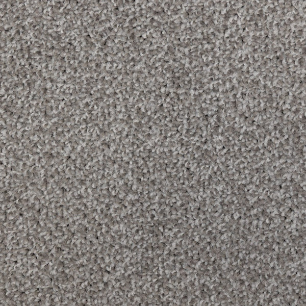 Artisan Fossil Carpet