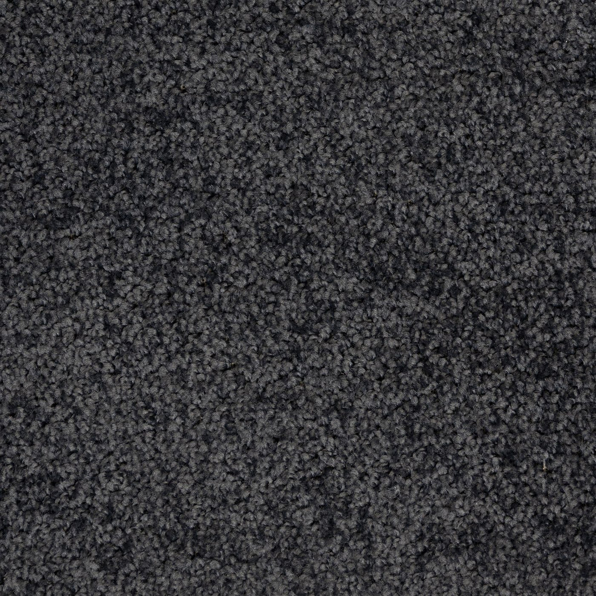 Artisan Nightshade Carpet