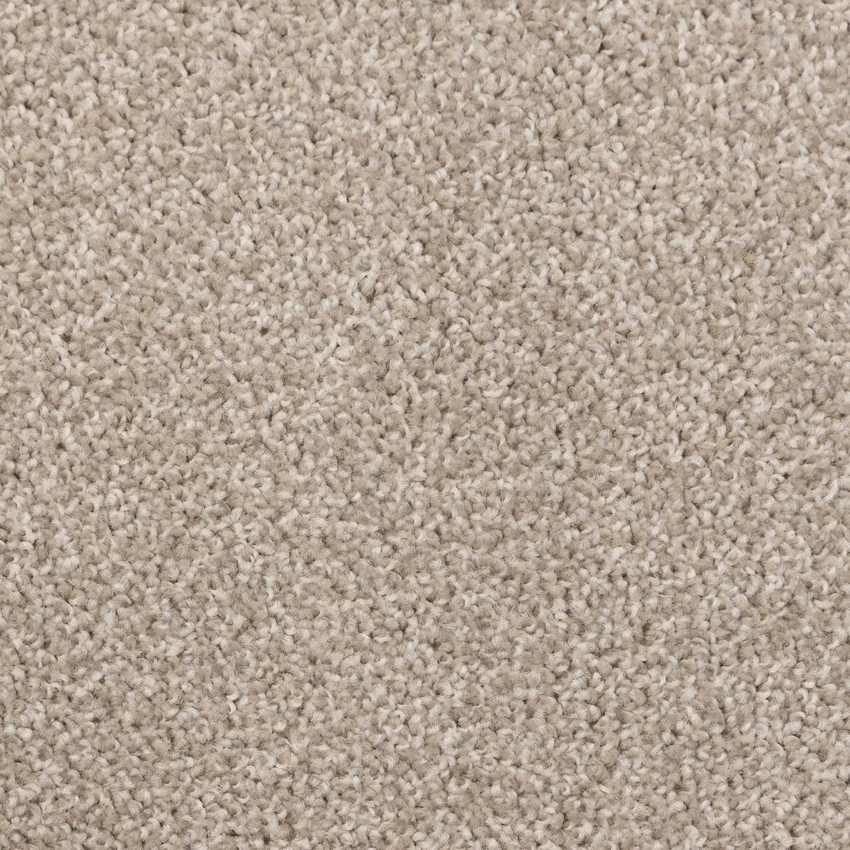 Artisan Shell Carpet