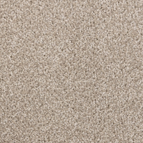 Artisan Shell Carpet
