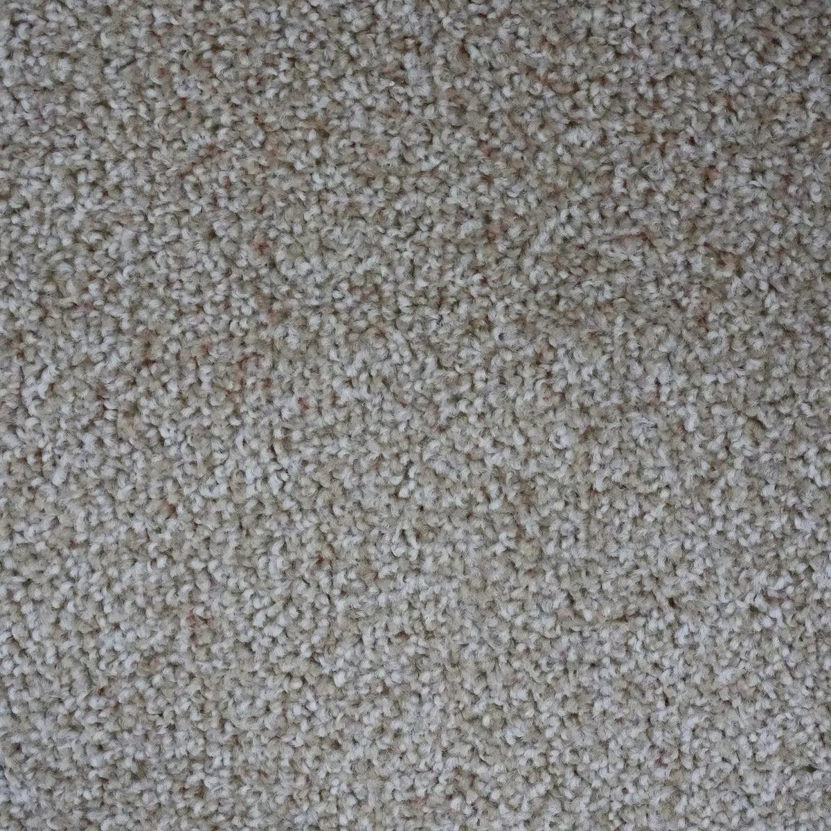 Artisan Stone Carpet