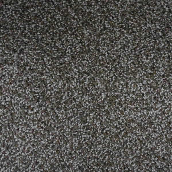 Artisan Taupe Carpet