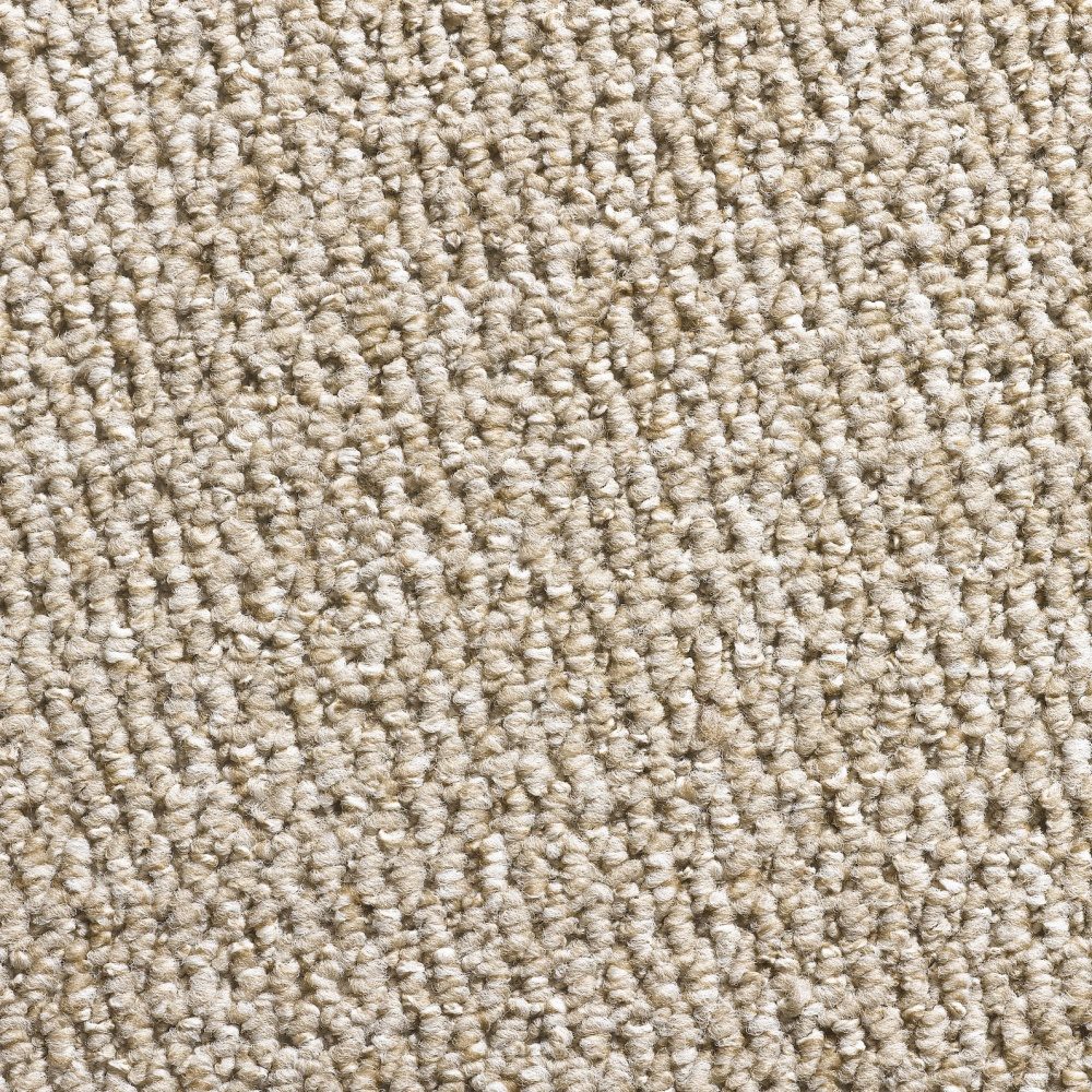 Glenmore Beige Carpet