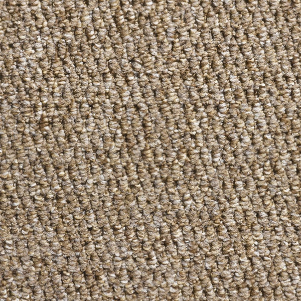 Glenmore Mink Carpet