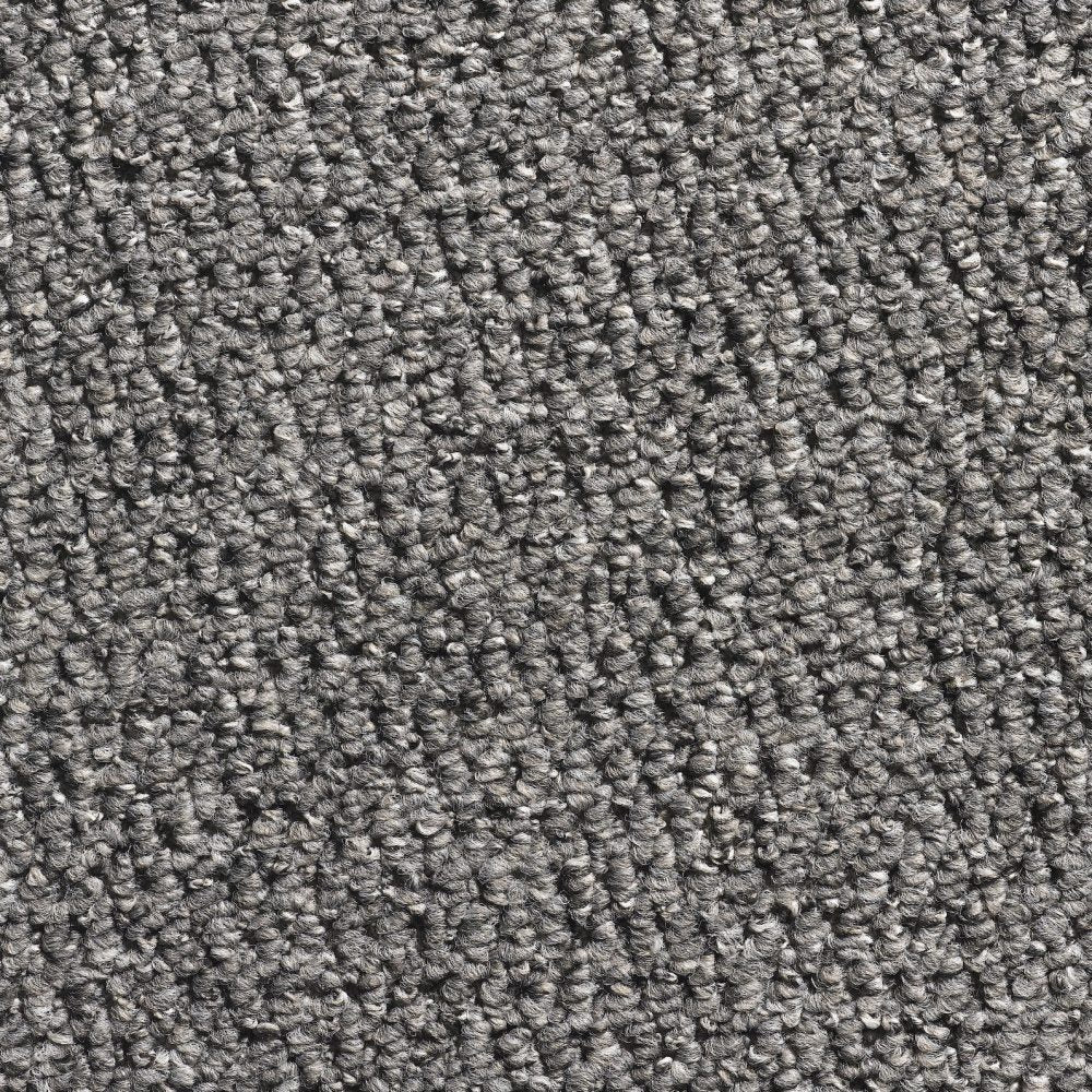Glenmore Silver Carpet