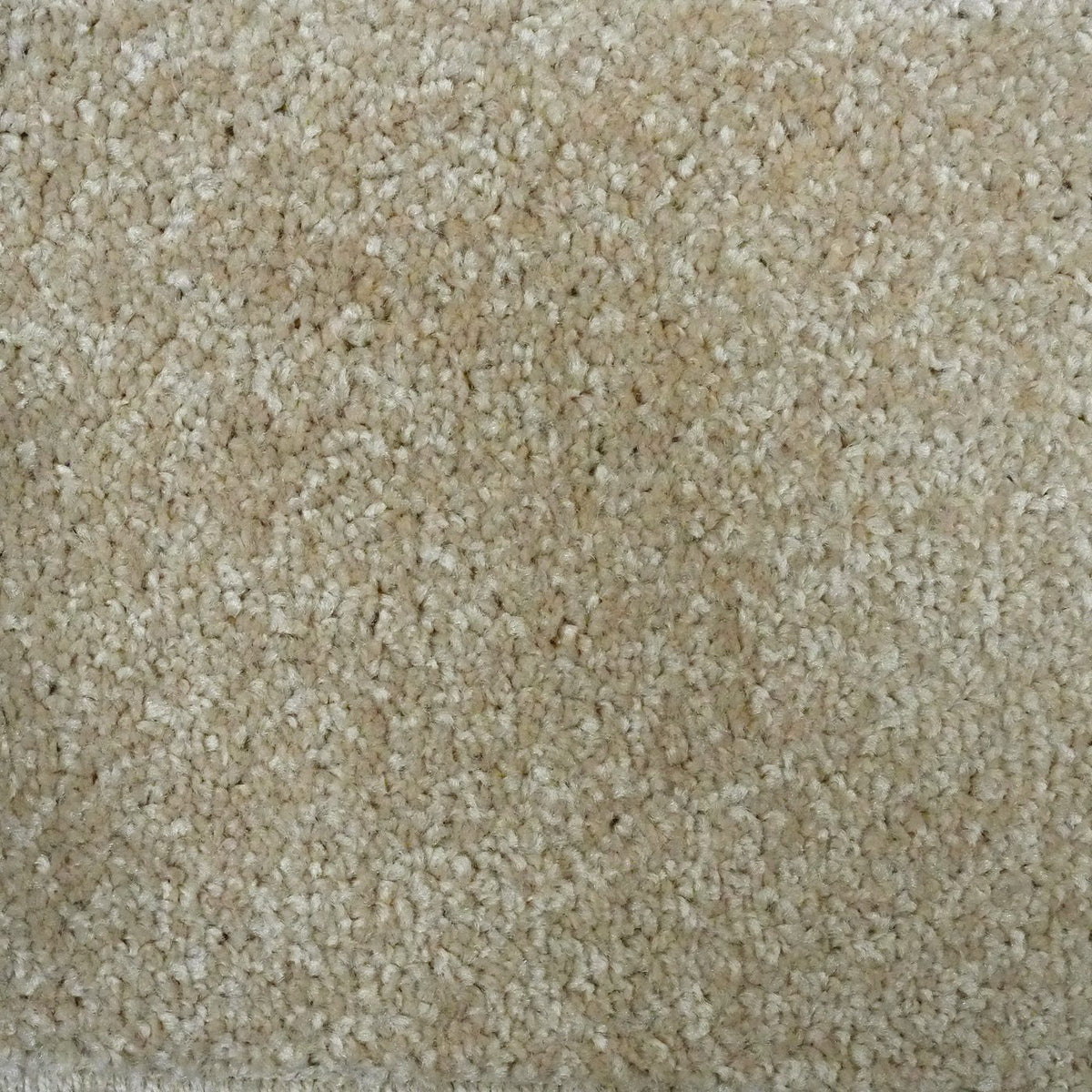 Optima Harvest Carpet