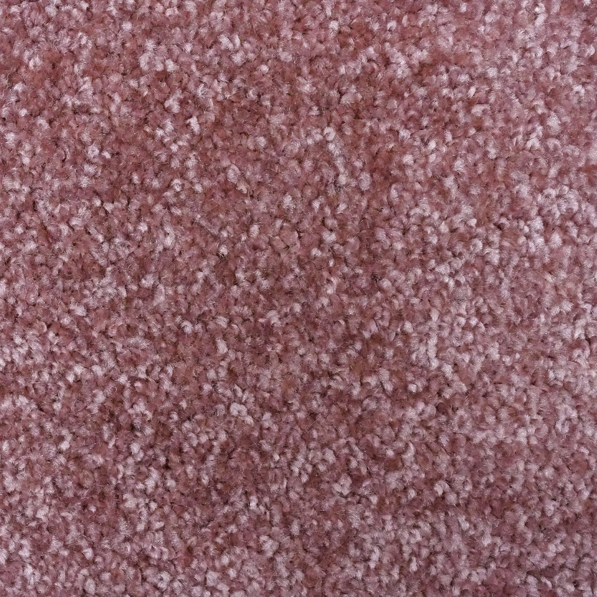 Optima Rose Carpet