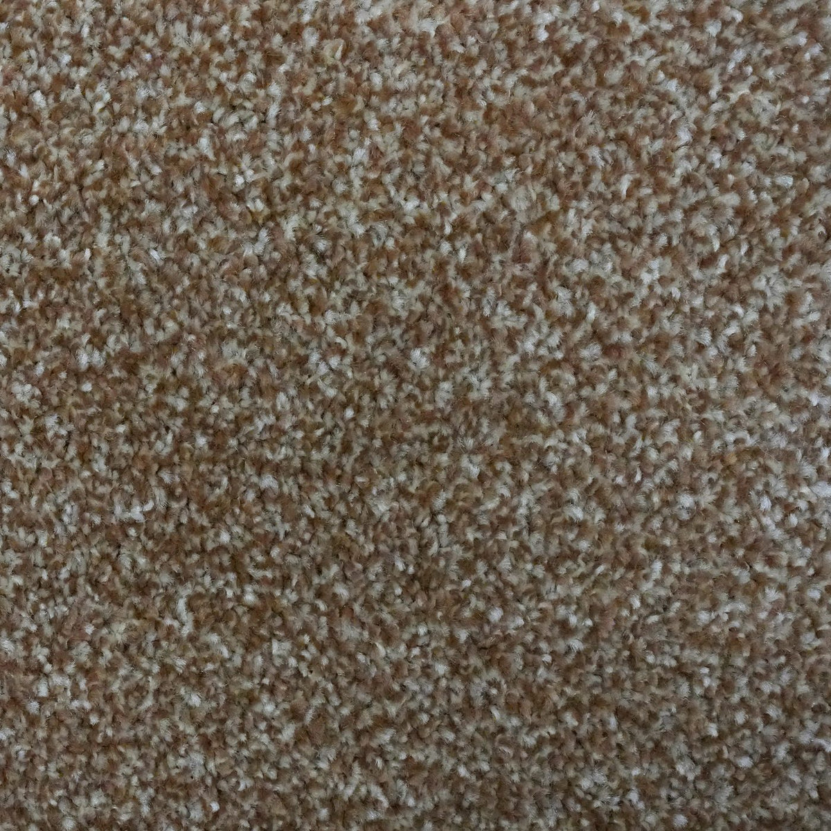 Optima Sepia Carpet