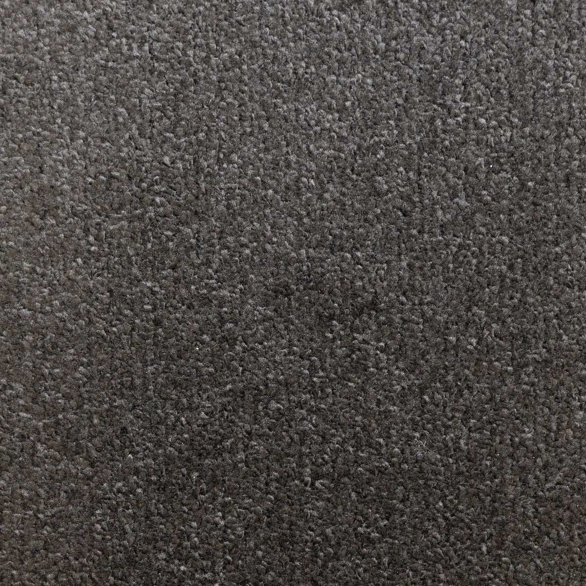 Prime Anthracite Carpet